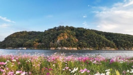 부소산 관광 정보와 주변 관광 명소 및 근처 맛집 여행 정보