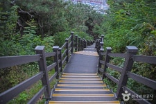 팔달산 관광 정보와 주변 관광 명소 및 근처 맛집 여행 정보