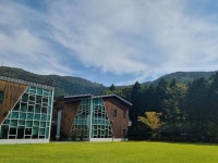 국립남해편백자연휴양림 관광 정보와 주변 관광 명소 및 근처 맛집 여행 정보