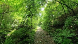 석룡산 관광 정보와 주변 관광 명소 및 근처 맛집 여행 정보