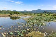 병영성홍교 관광 정보와 주변 관광 명소 및 근처 맛집 여행 정보