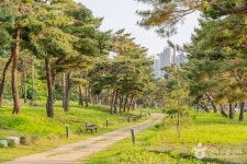 [경기옛길 삼남길 제4길] 서호천길 - 주변 여행 및 근처 관광 명소 - 국내 여행 정보와 관광 명소 정보