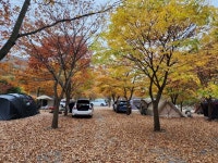 반딧불이캠핑장 레저스포츠 정보와 주변 관광 명소 및 근처 맛집 여행 정보