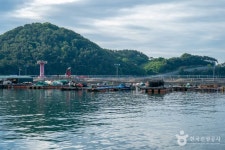 원전선착장 관광 정보와 주변 관광 명소 및 근처 맛집 여행 정보