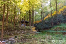 장태산자연휴양림 관광 정보와 주변 관광 명소 및 근처 맛집 여행 정보