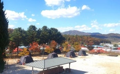 유곡리평화마을캠핑장 레저스포츠 정보와 주변 관광 명소 및 근처 맛집 여행 정보