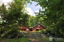 Yongmunsan Recreational Forest (용문산자연휴양림) - Sightseeing - Korea travel and tourism information