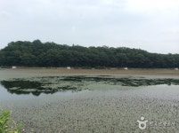 월드관광호텔 - 주변 여행 및 근처 관광 명소 - 국내 여행 정보와 관광 명소 정보