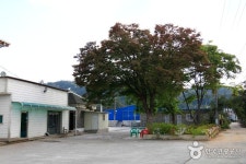 송정송어장 음식점 정보와 주변 관광 명소 및 근처 맛집 여행 정보