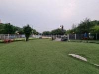 코코애견카페 음식점 정보와 주변 관광 명소 및 근처 맛집 여행 정보