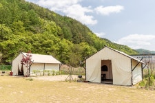 송호국민관광지 야영장 - 주변 여행 및 근처 관광 명소 - 국내 여행 정보와 관광 명소 정보