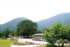 지리산 숲속의 쉼터 - 주변 여행 및 근처 관광 명소 - 국내 여행 정보와 관광 명소 정보