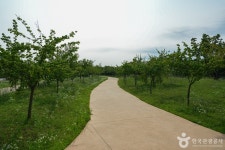 경인아라뱃길 매화동산 관광 정보와 주변 관광 명소 및 근처 맛집 여행 정보