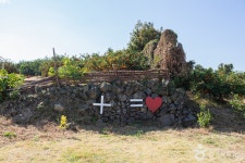 탐나는농장 관광 정보와 주변 관광 명소 및 근처 맛집 여행 정보