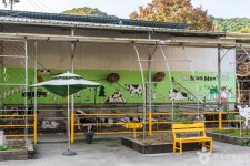 맘맘스 관광 정보와 주변 관광 명소 및 근처 맛집 여행 정보