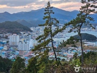 완도타워 관광 정보와 주변 관광 명소 및 근처 맛집 여행 정보