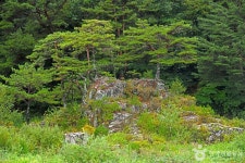 평창문화관광 > 음식/숙박/쇼핑 > 살래요 평창문화관광  &gt; 음식/숙박/쇼핑 &gt; 살래요