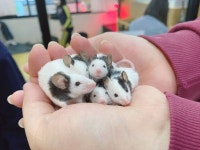 마리앤쥬 관광 정보와 주변 관광 명소 및 근처 맛집 여행 정보