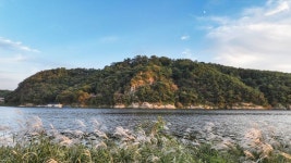 메밀꽃필무렵 - 주변 여행 및 근처 관광 명소 - 국내 여행 정보와 관광 명소 정보