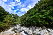 내원사계곡(양산) 관광 정보와 주변 관광 명소 및 근처 맛집 여행 정보
