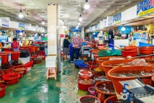 후포어시장회도매센터 쇼핑 정보와 주변 관광 명소 및 근처 맛집 여행 정보