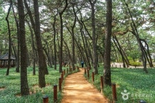 송도해변(포항) - 주변 여행 및 근처 관광 명소 - 국내 여행 정보와 관광 명소 정보