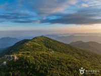 무주 삼공리 반송 - 주변 여행 및 근처 관광 명소 - 국내 여행 정보와 관광 명소 정보