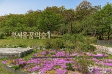 꿈의숲 아트센터 - 주변 여행 및 근처 관광 명소 - 국내 여행 정보와 관광 명소 정보