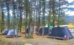 유곡리평화마을캠핑장 레저스포츠 정보와 주변 관광 명소 및 근처 맛집 여행 정보