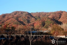 화천 계성리 석등 - 주변 여행 및 근처 관광 명소 - 국내 여행 정보와 관광 명소 정보