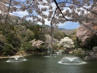 구덕민속예술관 문화 정보와 주변 관광 명소 및 근처 맛집 여행 정보