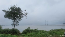 [대부해솔길] 2코스 - 주변 여행 및 근처 관광 명소 - 국내 여행 정보와 관광 명소 정보