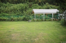 라드독 음식점 정보와 주변 관광 명소 및 근처 맛집 여행 정보