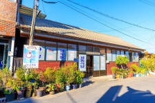 예천 금남리 황목근(팽나무) - 주변 여행 및 근처 관광 명소 - 국내 여행 정보와 관광 명소 정보