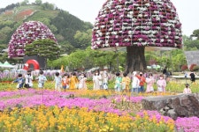 함평엑스포공원 문화 정보와 주변 관광 명소 및 근처 맛집 여행 정보