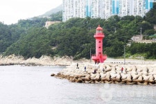백설대학 - 주변 여행 및 근처 관광 명소 - 국내 여행 정보와 관광 명소 정보