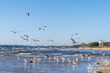 청포대해수욕장 관광 정보와 주변 관광 명소 및 근처 맛집 여행 정보