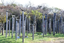 나불도유원지 관광 정보와 주변 관광 명소 및 근처 맛집 여행 정보