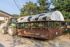 맘맘스 관광 정보와 주변 관광 명소 및 근처 맛집 여행 정보