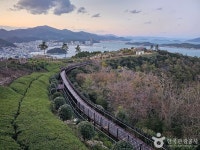 莞岛塔 (완도타워) - 旅游景点 - 韩国旅行和旅游信息