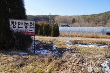 장안농원 음식점 정보와 주변 관광 명소 및 근처 맛집 여행 정보