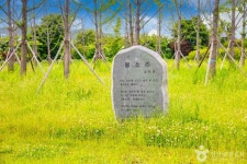춘천문학공원 관광 정보와 주변 관광 명소 및 근처 맛집 여행 정보