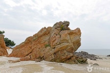 영종도힐링캠프 - 주변 여행 및 근처 관광 명소 - 국내 여행 정보와 관광 명소 정보