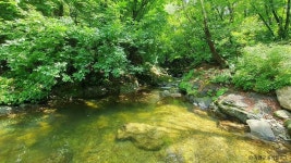 석룡산 관광 정보와 주변 관광 명소 및 근처 맛집 여행 정보