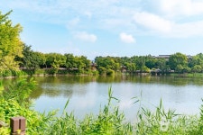 덕진공원 관광 정보와 주변 관광 명소 및 근처 맛집 여행 정보