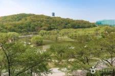 북서울꿈의숲 관광 정보와 주변 관광 명소 및 근처 맛집 여행 정보