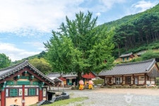 경흥사(경산) 관광 정보와 주변 관광 명소 및 근처 맛집 여행 정보