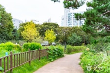 신트리공원(서울) 관광 정보와 주변 관광 명소 및 근처 맛집 여행 정보