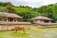 신돌석장군 생가 및 유적지 - 주변 여행 및 근처 관광 명소 - 국내 여행 정보와 관광 명소 정보