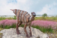 해남공룡박물관 문화 정보와 주변 관광 명소 및 근처 맛집 여행 정보